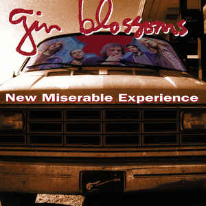 Gin Blossoms – New Miserable Experience
