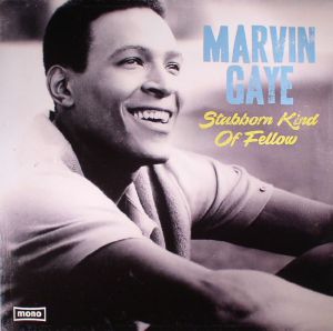 Marvin Gaye – Stubborn Kind Of Fellow