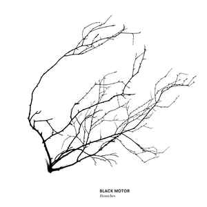 Black Motor – Branches