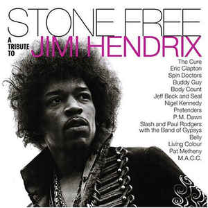 Various – Stone Free (A Tribute To Jimi Hendrix)