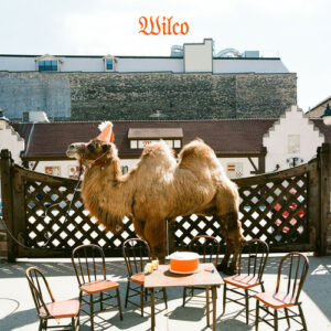 Wilco - Wilco (Picture Disc Vinyl LP)