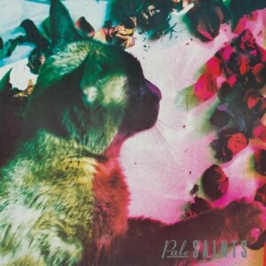 Pale Saints - The Comforts Of Madness (Colour LP)