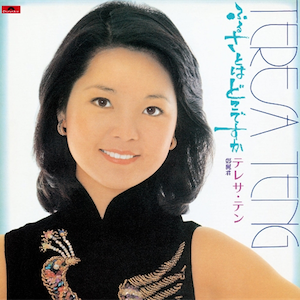 鄧麗君 淡淡幽情 鄧麗君Teresa Teng - 淡淡幽情(日本進口)
