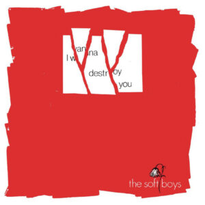 The Soft Boys - I Wanna Destroy You / Near The Soft Boys