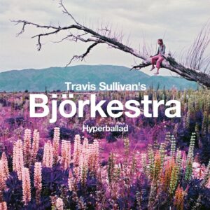 Travis Sullivan’s Bjorkestra - Hyperballad / Venus as a boy (12")