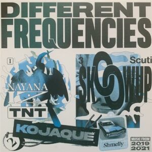 Various Artists - Different Frequencies