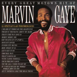 Marvin Gaye - Every Great Motown Hit Of Marvin Gaye - 15 Spectacular Performances