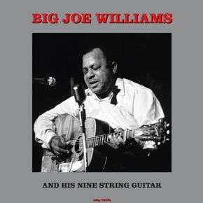 Big Joe Williams - And His Nine String Guitar