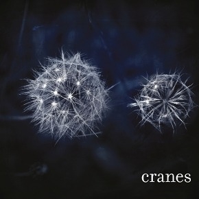 Cranes - Cranes