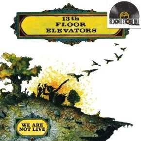 13th Floor Elevators - We Are Not Live  (RSD 2026)