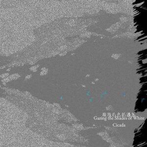 Cicada - 凝視白色的邊界 (黑膠版)