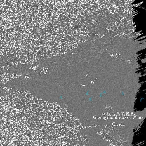 Cicada - 凝視白色的邊界 (黑膠版)