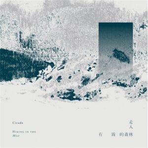 Cicada - 走入有霧的森林 (黑膠版)